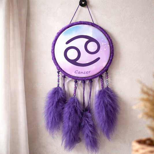 Zodiac Symbol Dreamcatchers