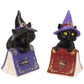 Cat Witch on Book of Spells