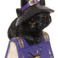 Cat Witch on Book of Spells